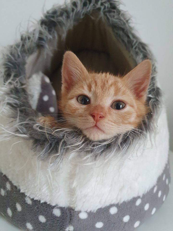 Schönen Sonntagabend :-)