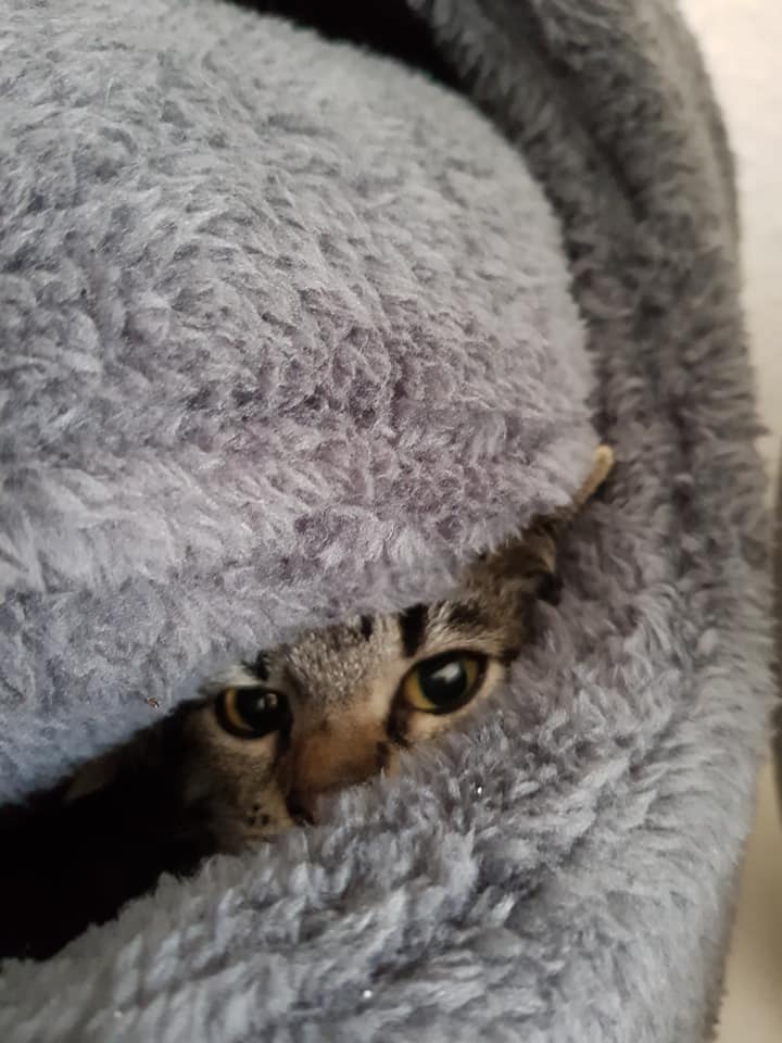 Schönes Wochenende!