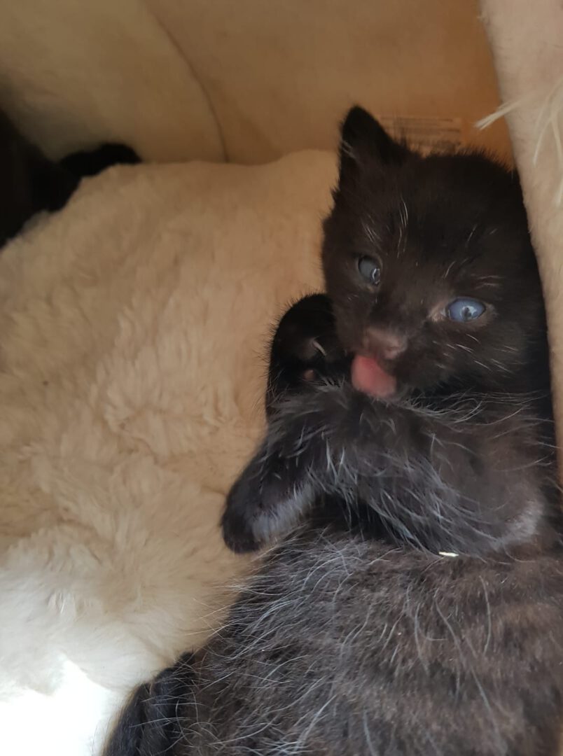 SchoenenWochenstart.jpg (1072×1440)