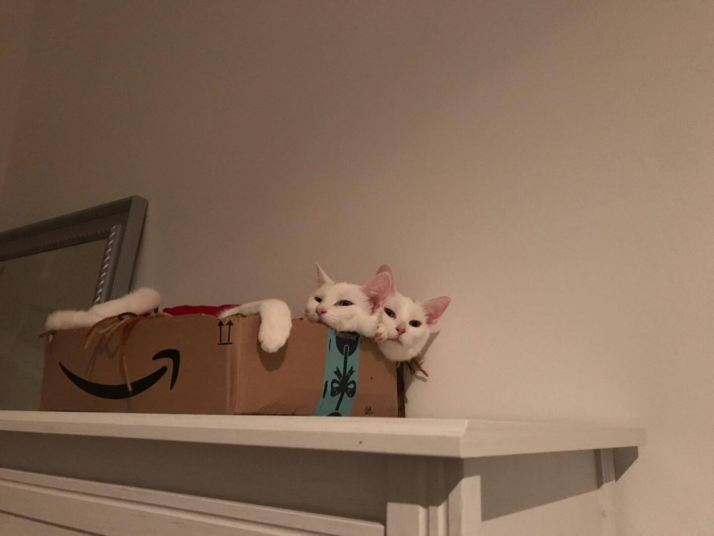 SchoenesWE1.jpg (1600×1200)