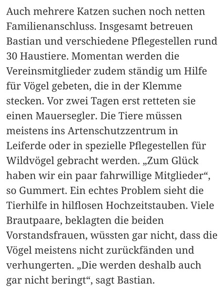 SpendeJuli195.jpg (461×600)