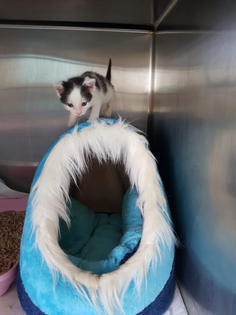 Einen schönen Start in die Woche wünscht Euch Spinderella!!!