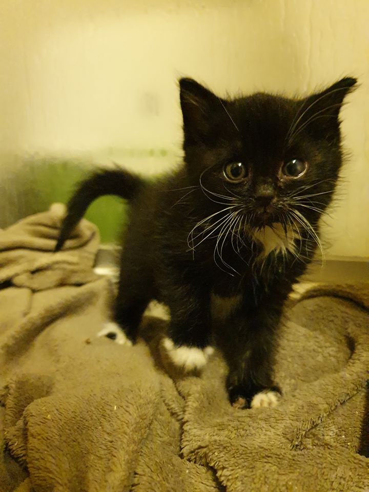 TK30112.jpg (720×960)