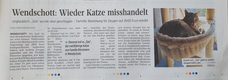 WAZ04092019.jpg (800×281)