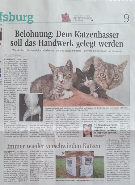 WAZ220820191.jpeg (437×600)