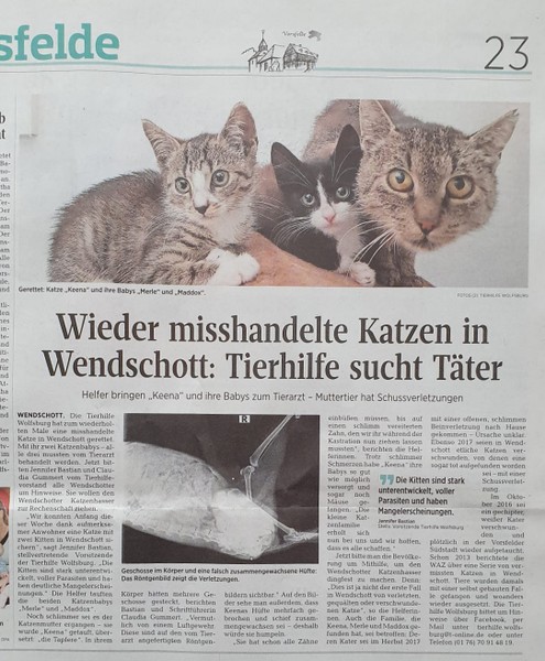 WAZAugustSpende.jpeg (495×600)