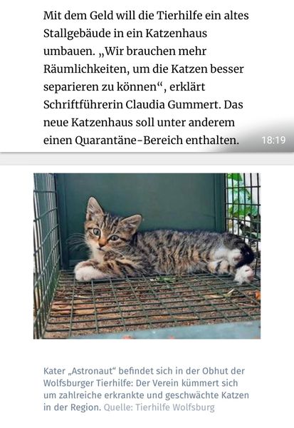 WAZSat13.jpg (413×600)