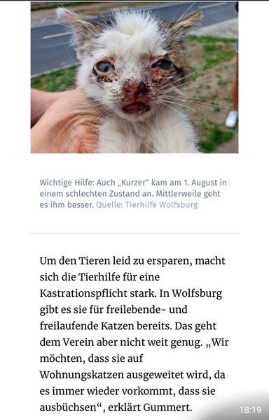 WAZSat16.jpg (384×600)