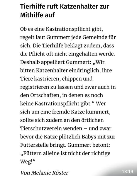 WAZSat17.jpg (467×600)