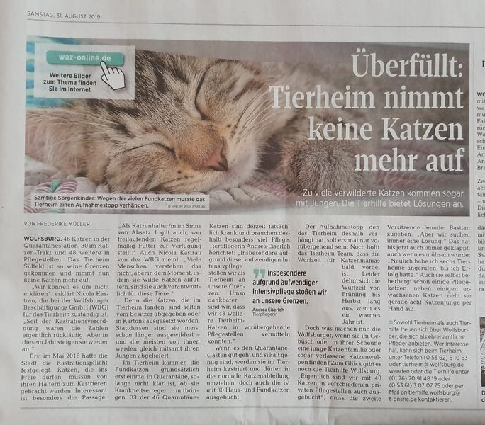 Tierheim Aufnahmestopp