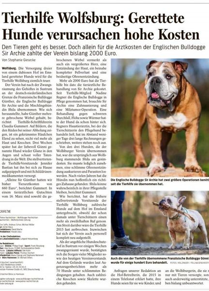 Gerettete Hunde verursachen hohe Kosten