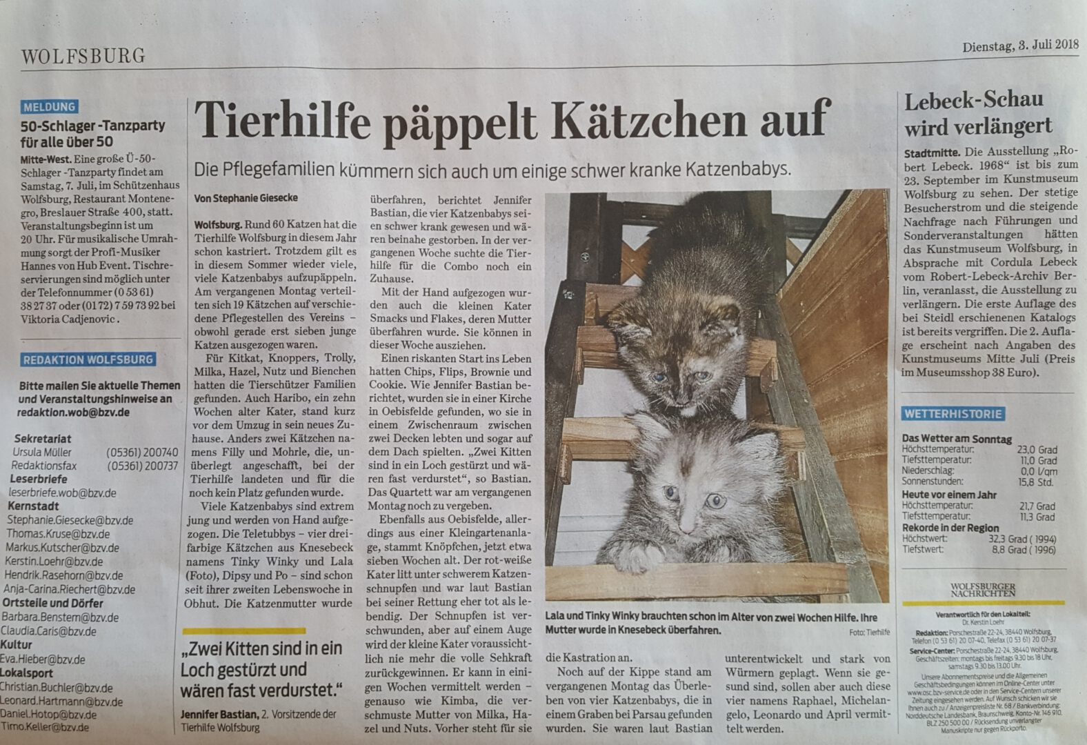 Tierhilfe päppelt Kätzchen auf