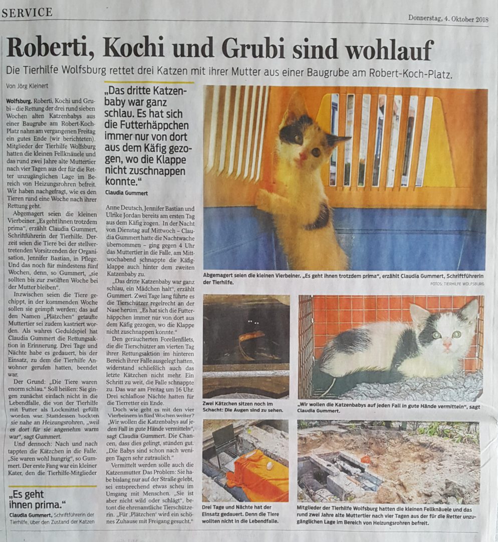 WN_RobertKochPlatz1.jpg (2585×2808)