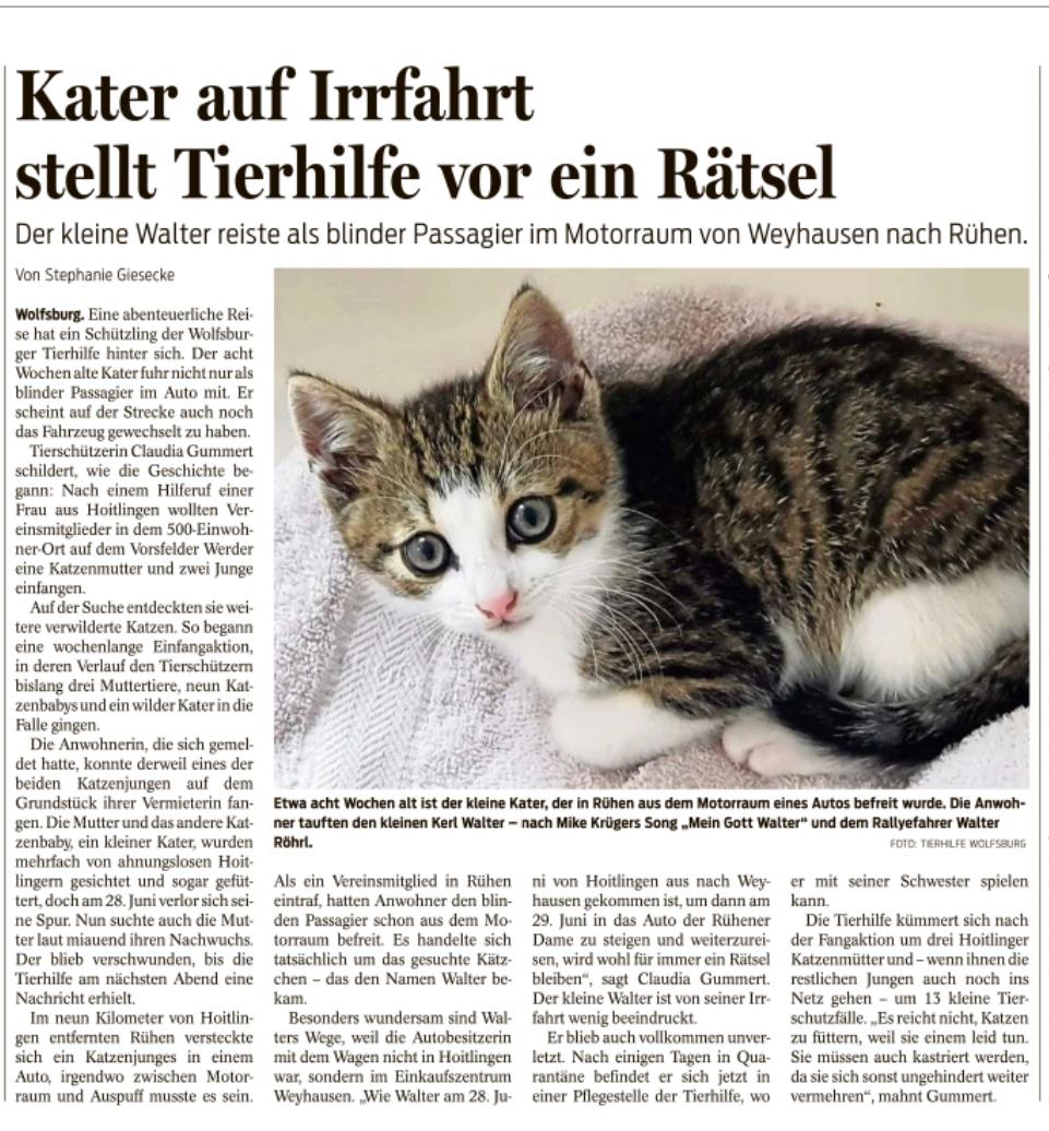 Walter WN 09.07.2021.JPG (961×1036)