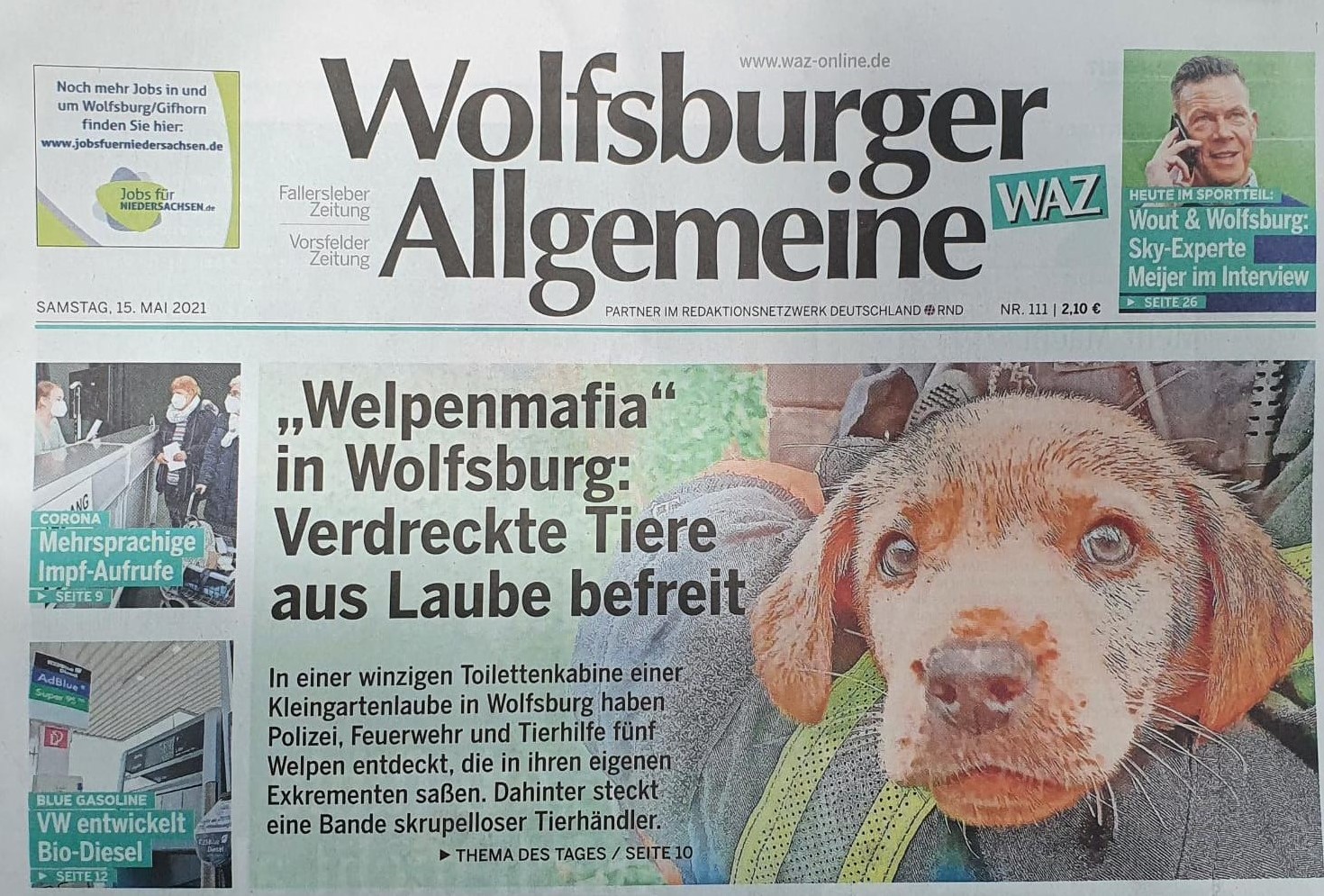 Welpe1.jpg (1470×995)