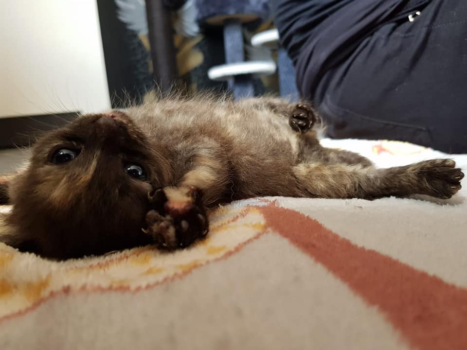 WerdetGeliebt.jpg (960×720)