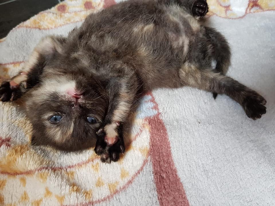 Ihr werdet alle so furchtbar geliebt!