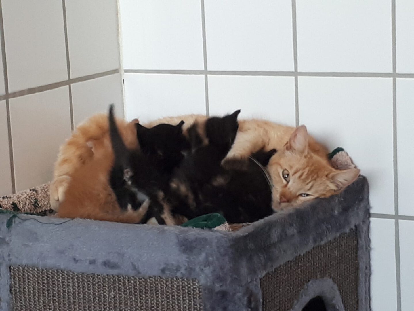 WirBrauchenEuch10.jpg (1599×1200)