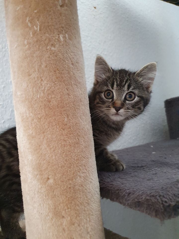 Wohlfühlen.jpg (720×960)