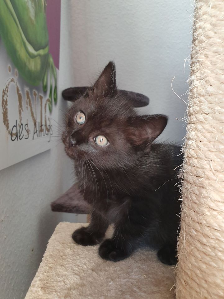 Wohlfühlen1.jpg (720×960)