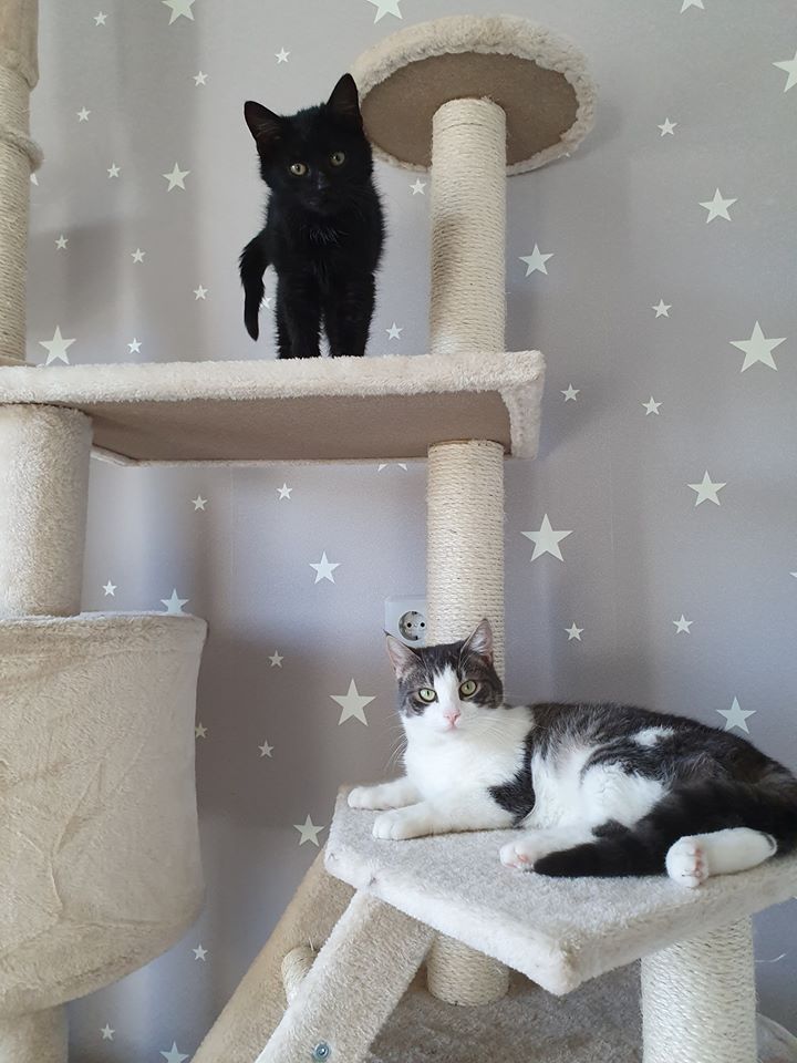 Es ist auch Euer Verdienst, dass sie sich so wohlfühlen!