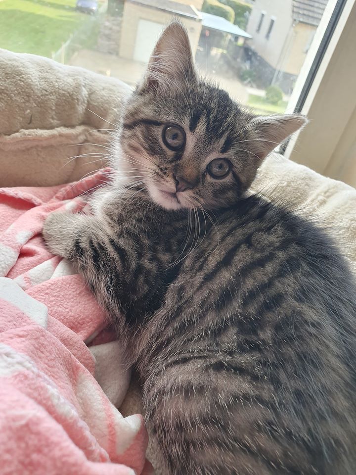 Wohlfühlen2.jpg (720×960)