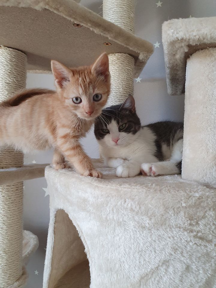 Wohlfühlen3.jpg (720×960)