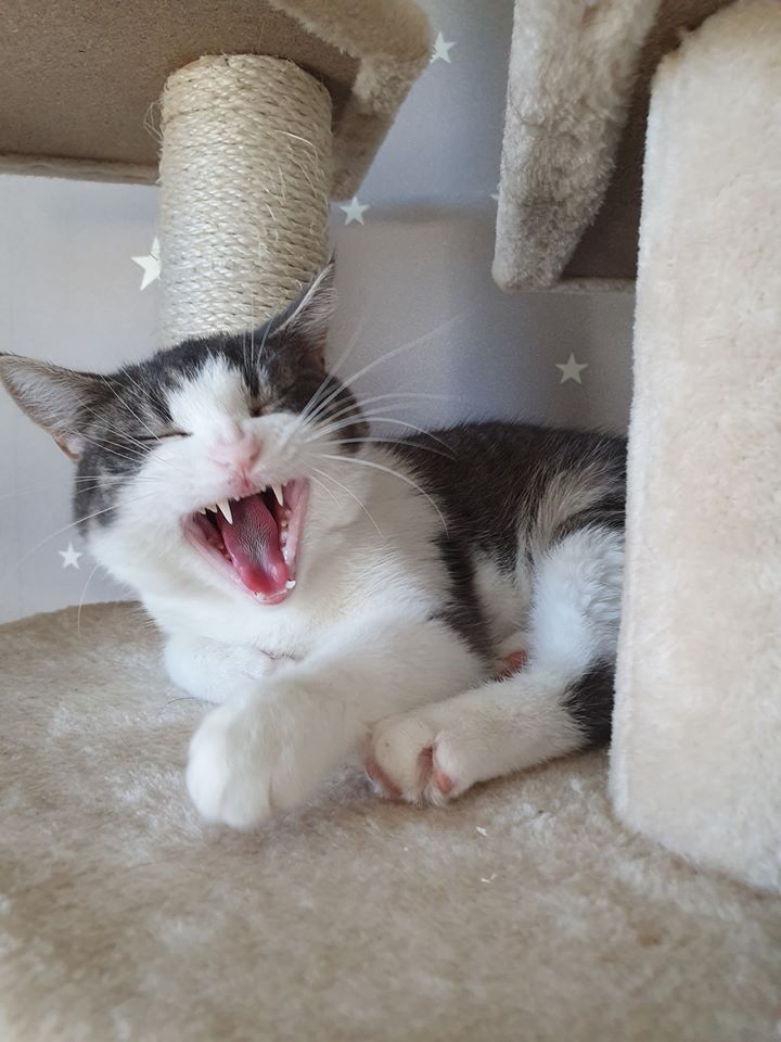 Wohlfühlen4.jpg (720×960)