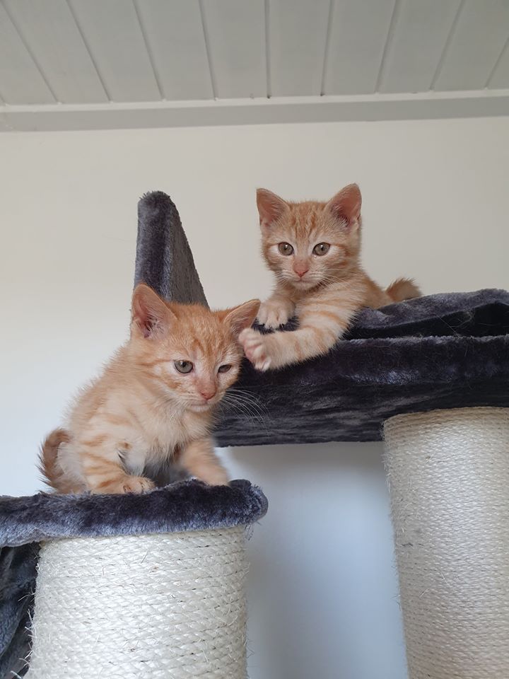 Wohlfühlen5.jpg (720×960)