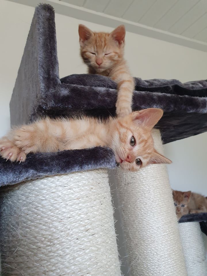 Wohlfühlen6.jpg (720×960)