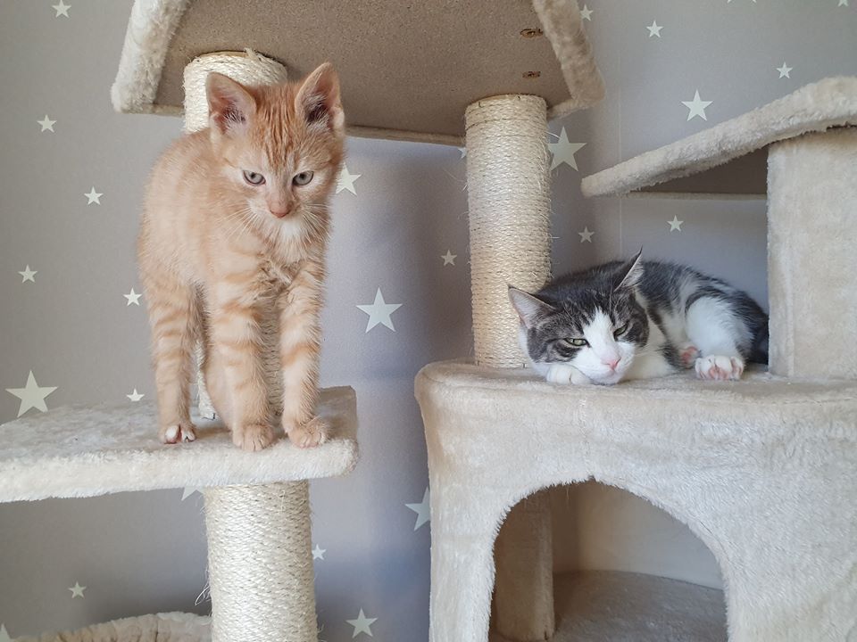 Wohlfühlen7.jpg (960×720)