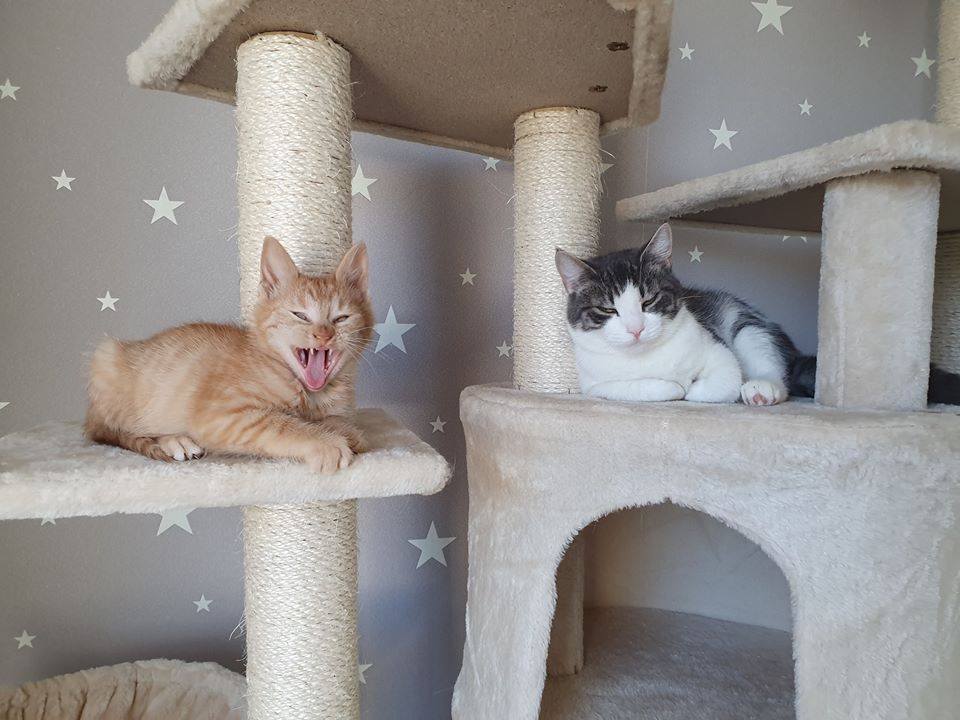 Wohlfühlen8.jpg (960×720)