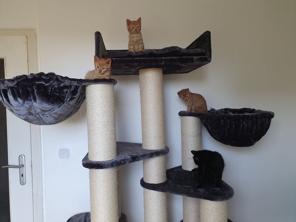 Wohlfühlen9.jpg (960×720)