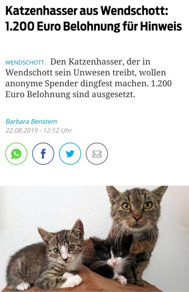 Katzenhasser in Wendschott