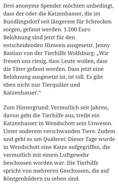 Zeitung220820191.jpeg (382×600)