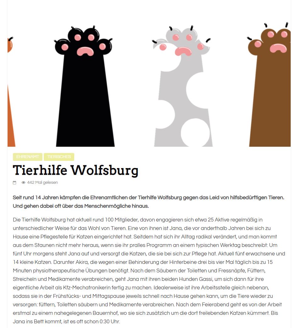 deinwolfsburg1.JPG (960×1044)