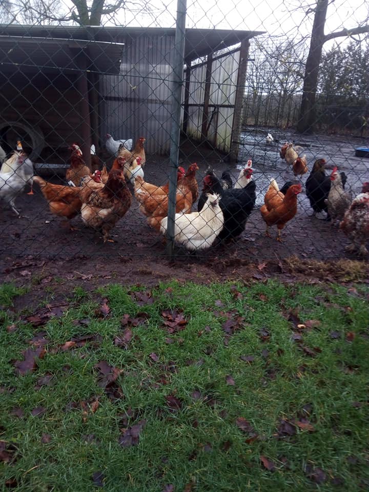 Wir kommen dem Ende ein ganzes Stück näher