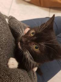 Gute Nacht wünscht Hugo!