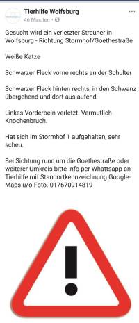 Verletzter Streuner gesucht