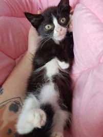 Wer hat denn da schon ein rundes Bäuchlein?