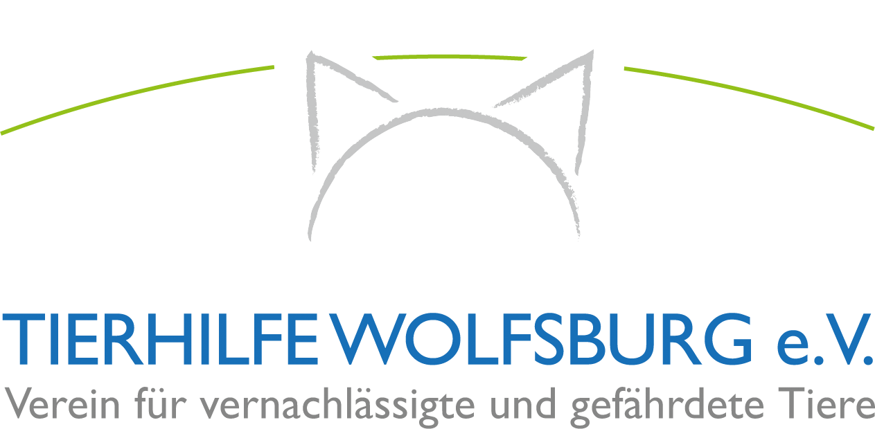 logo.png (1263×620)