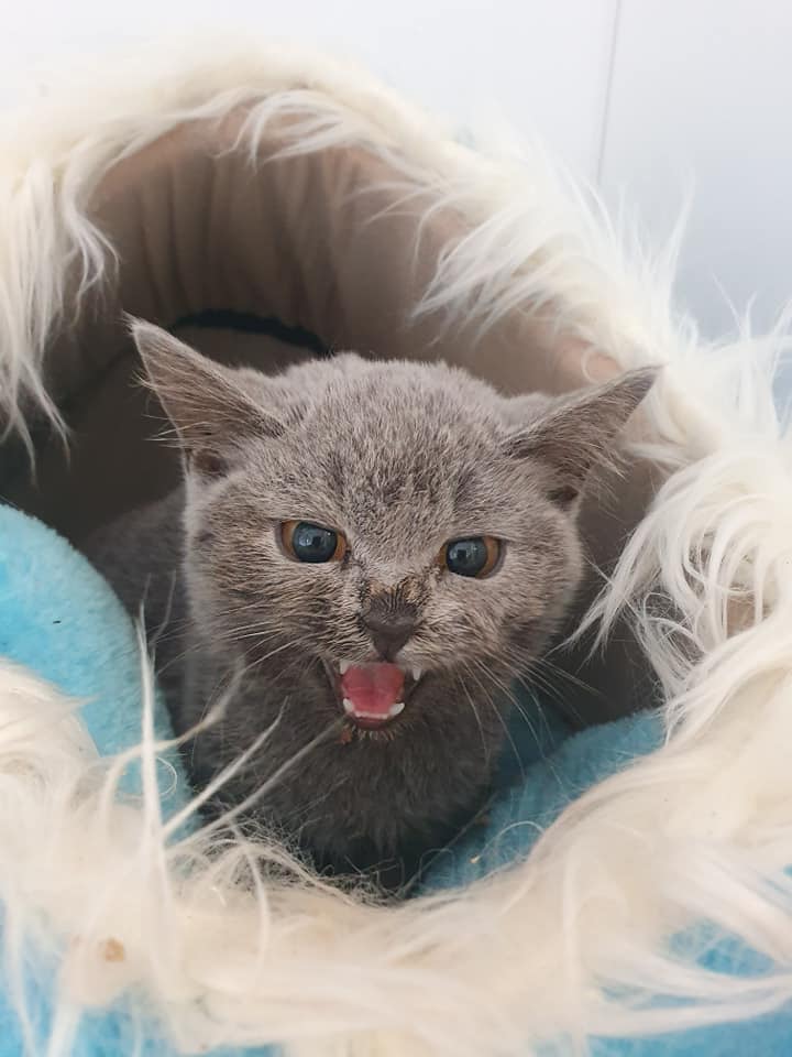 Bitte helft der kleinen Mia