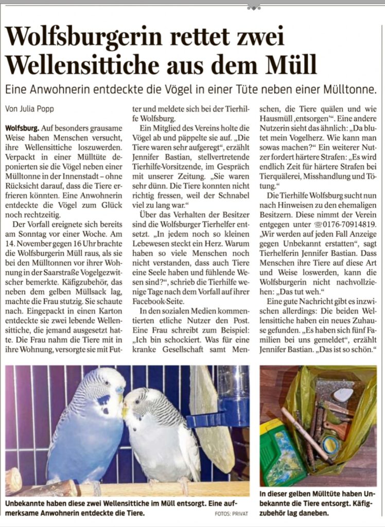 Wellensitiche im Müll