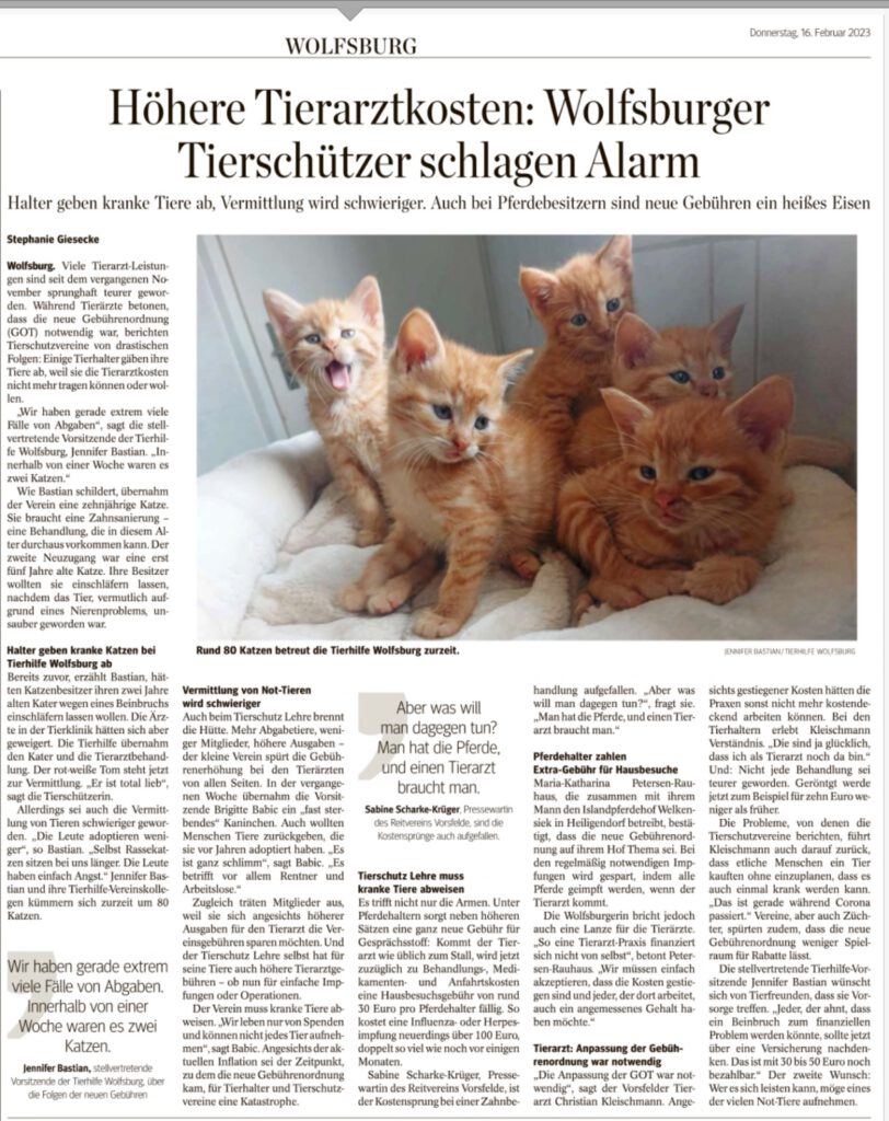 Tierarztkosten
