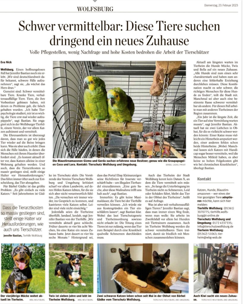 Schwer vermittelbar