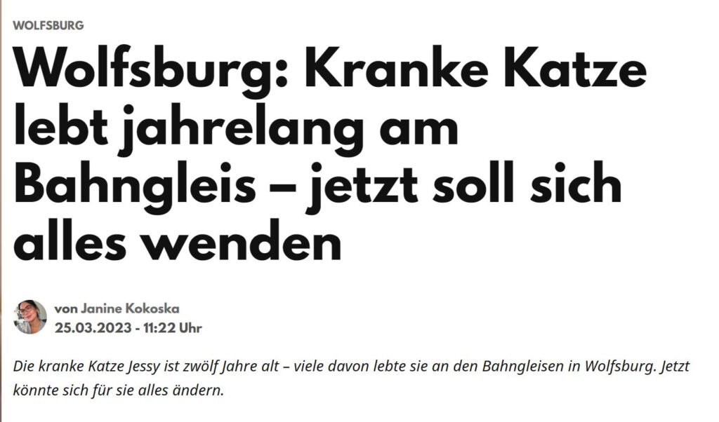 Jessy, die Katze vom Bahngleis