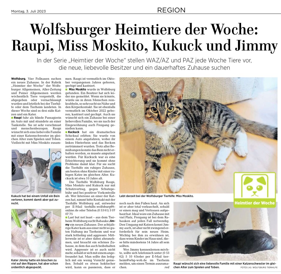 Heimtiere der Woche