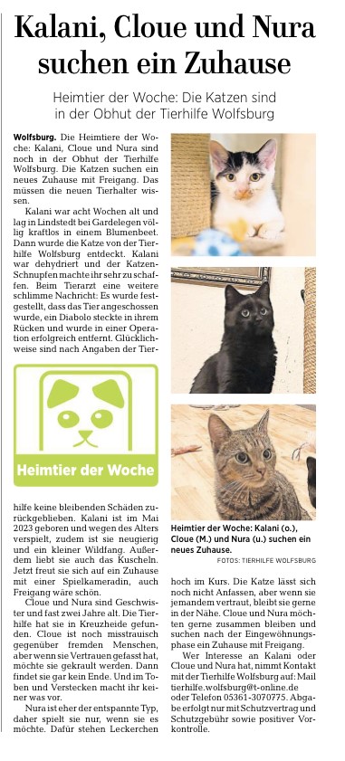 Heimtiere der Woche