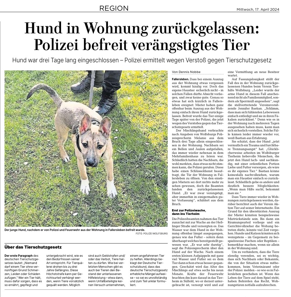 Hund in Wohnung zurückgelassen