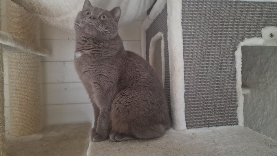 Gute Naaaahaaaaaacht